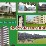 de Professorenbuurt